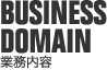 BUSINESS DOMAIN